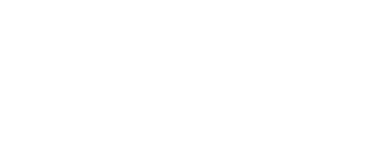 SteelForm